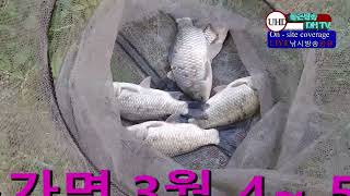 UHD주소정보채널 2월가고 3 4 5 월 까지 산란  fishing 장소  LIVE 좋은방송 DH TV 제작 구독 좋아요