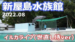 【新屋島水族館】イルカライブ（世直し侍ver）2022.08-香川,四国,夏休み,イルカ,ショー,GW-New Yashima Aquarium