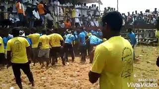 Killukkottai jallikattu nayagan