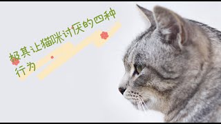 极其让猫咪讨厌的四种行为