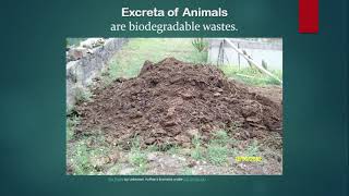 BIODEGRADABLE AND NON BIODEGRADABLE THINGS