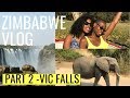 Vlog Zimbabwe Part 2 - VICTORIA FALLS | CHOBE BOTSWANA, BRUNCH, SLIDE, SUNSET CRUISE  | TRAVEL