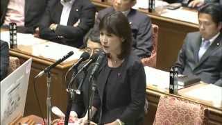 H24/06/12 衆議院予算委員会・稲田朋美