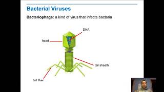 Identifying the Substance of the Gene