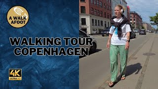 Exploring Falkoner Allé In Frederiksberg Copenhagen In Stunning 4K 🇩🇰