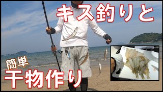 【キス釣り】釣りしてシロギスの干物作りました♪美味しいですよ！