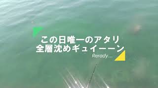 【アタリ🎯ハイライト】全層沈めのアタリ・ギュイーーン！