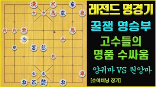 [레전드 명경기] 꿀잼 명승부!! 고수들의 명품 수읽기  (슈이비닝 장기)