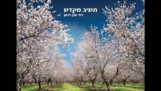 דוד אבן דנאן - תשיב מקדש