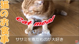 猫のお食事～Cat meal～