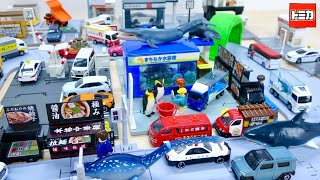 アニアと最高の組み合わせ!NEWトミカタウン 水族館! Tomica Town Aquarium