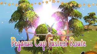 Pegasus Cup Fastest Route #Horseridingtales #AuroraThunderHRT