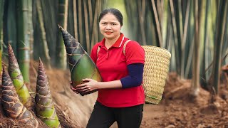 My Lucky Day: Harvesting Giant Bamboo Shoots & Selling at the Market!