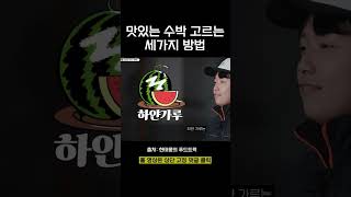 맛있는 수박 고르는 세가지 비법