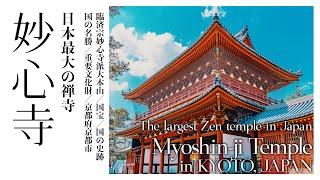 【京都／観光名所】妙心寺／日本最大の禅寺 - The largest Zen temple in Japan / Myoshin-ji Temple in KYOTO, JAPAN -