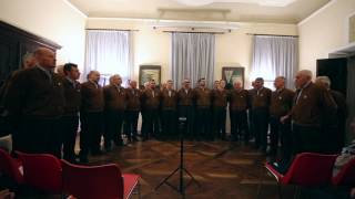 STELUTIS ALPINIS - CORO DELLA SAT