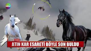 Atın kar esareti böyle son buldu