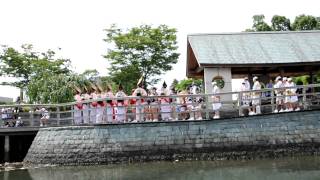 徳島阿波おどり2010 助任橋付近での演舞