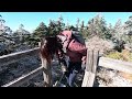 【恵那山登山】青空に映える霧氷の世界❄️白に染まった山頂は美しく「がっかり百名山」なんて言わせない！