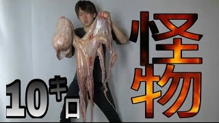 How to Clean a Giant Pacific Octopus] Something unexpected was inside the head!