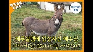 [마가복음 내러티브 해설] 41강 예루살렘 입성  (막11:1-11) - 나귀타신 예수님