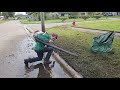 neighbors stop to tell me what they think of overgrown lawn transformation sidewalks unusable