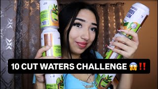 Craziest 10 Cut Water Experiment