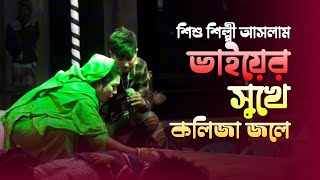 আমি ভাই পাবো কই গেলে ভাই হারানো গান ।। বিচ্ছেদ গান ।। Alamin4media