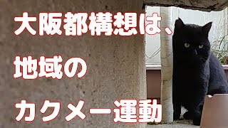 なぜ？　3度目の挑戦、大阪都構想、本当に必要？