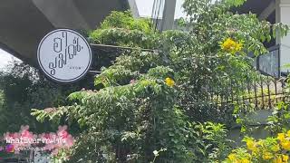 พามากิน อาหารไทย ขนมไทย ที่ร้านอารมณ์ คาเฟ่ตา