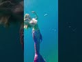 Darling it’s better under the sea! Mermaid Jules dances underwater 💕 #mermaid #mermaidtail #ocean