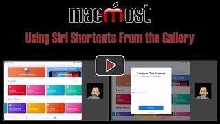 Using Siri Shortcuts From the Gallery (#1748)