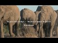 Tanda Afrika - Welcome to Euphorbia Lodge at Mashatu Game Reserve