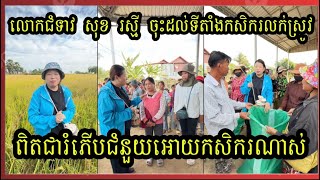 លោក ជំទាវ សុខ រស្មី ចុះដល់ទីតាំងកសិករសំរាប់ប្រមូលទិញស្រូវ30តោន