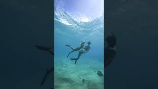 Love is it the water #hawaii #freediving #diving #couple #goals #travel #island