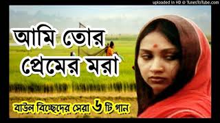 প্রেম বিরহের যন্তনা সইতে যে আর পারি না তোমায় ছাড়া ভালো লাগে না এক বার এসে দেখে যাও যদি তুমি সময় পাও।