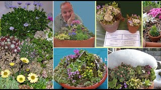 Learn how to make your own Miniature Garden - Gardening talk by John Dower