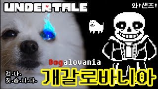 언더테일 메갈로바니아 강아지 리믹스 ( 샌즈전 브금 Megalovania ) 샌즈 노래