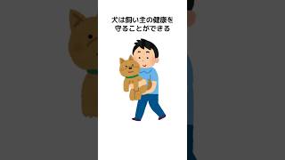 ほとんどの人が知らない動物の面白い雑学 #animalshorts#豆知識 #animalshorts #1分雑学