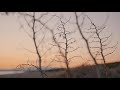 【上田晃司】 braw 4k uhd動画　「everyday is beautiful」　z 6ii、nikkor z等│ニコンcp 2021オンライン