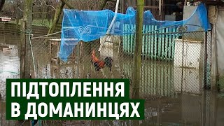 Двори підтопило в мікрорайоні Доманинці на Ужгородщині