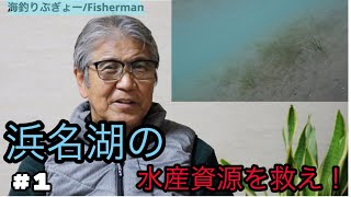 #1浜名湖の水産資源を救え！アマモの再生活動のご紹介です。