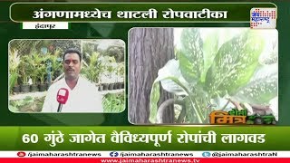 Shetimitra: Success story of Indapur farmer on Plant Nurseries 040418