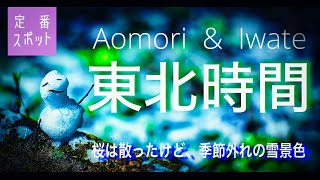 【Cinematic Vlog】絶景定番スポット巡り 〜季節外れの雪景色〜 〈東北/ 青森/岩手〉