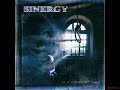 sinergy i spit on your grave