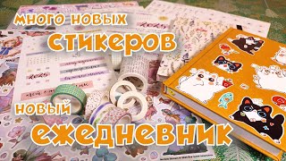 Много НОВЫХ стикеров 🩷 и НОВЫЙ ежедневник | Распаковочка и организация хранения 🩷