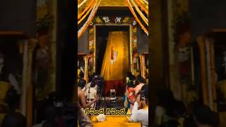 #trending #venkateswaraswamy #tirumala #shorts #tirupati #god #devotional #venkatprabhu  #viralshort