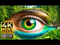 THE BEST COLOR 4K HDR 120FPS Dolby Vision | with Cinematic Sound (Colorful Animal Life)