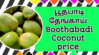 15/10/2024 பூதப்பாடி தேங்காய் விலை | Boothapadi coconut price