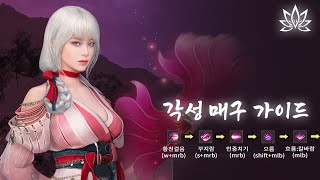 검은사막(BDO) 시즌 각성 매구 가이드(한방사냥터, 심층)